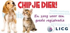 Juni; de maand van het chippen!  Aktie chippen €27.50