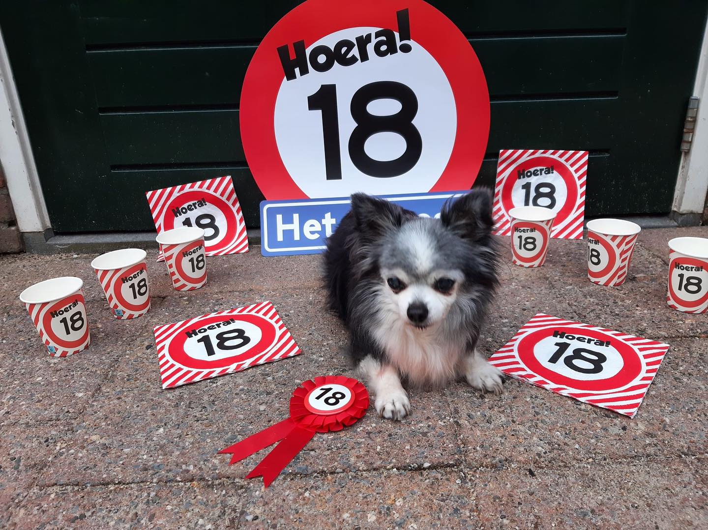 Hiep hiep hoera, Ricardo 18 jaar!