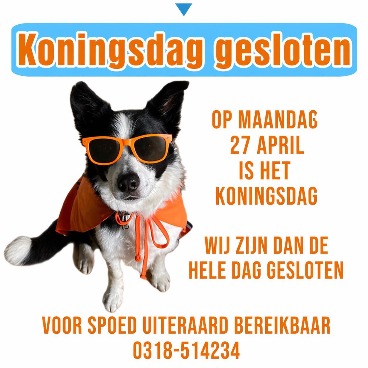 Aangepaste openingstijden