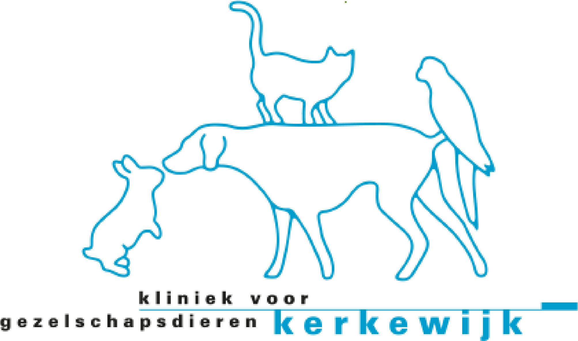 Dierenkliniek Kerkewijk
